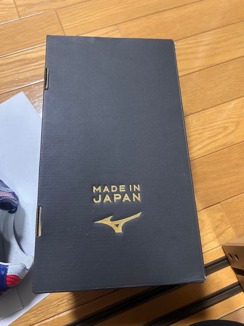 Mizuno モレリア2 ブルー　青 サッカーシューズ