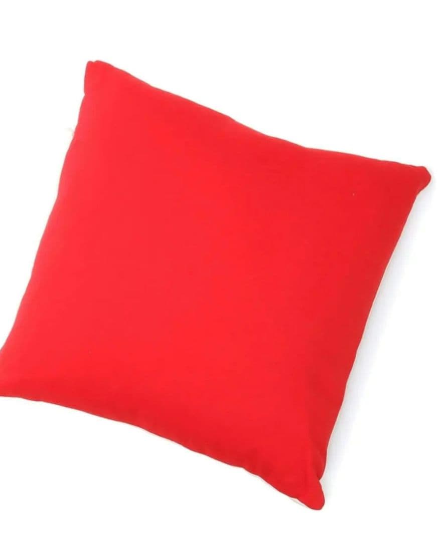 CHUMSキャンプ2022 クッション