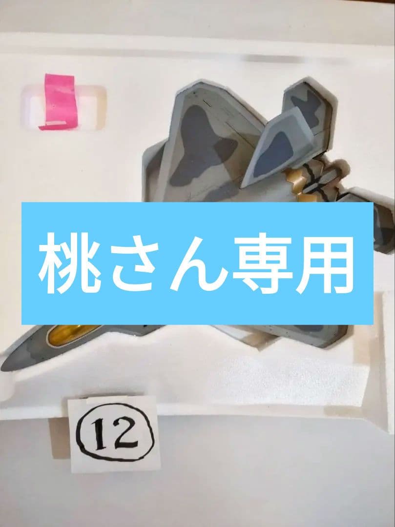 【桃さん専用】フランクリンミント 1/48　アーマーコレクション ラプターF22