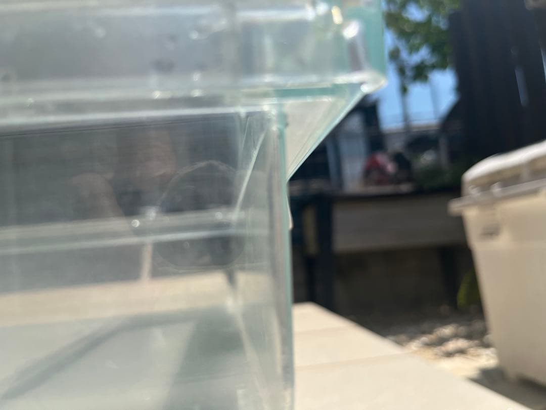 グラスハーモニー600飼育セット