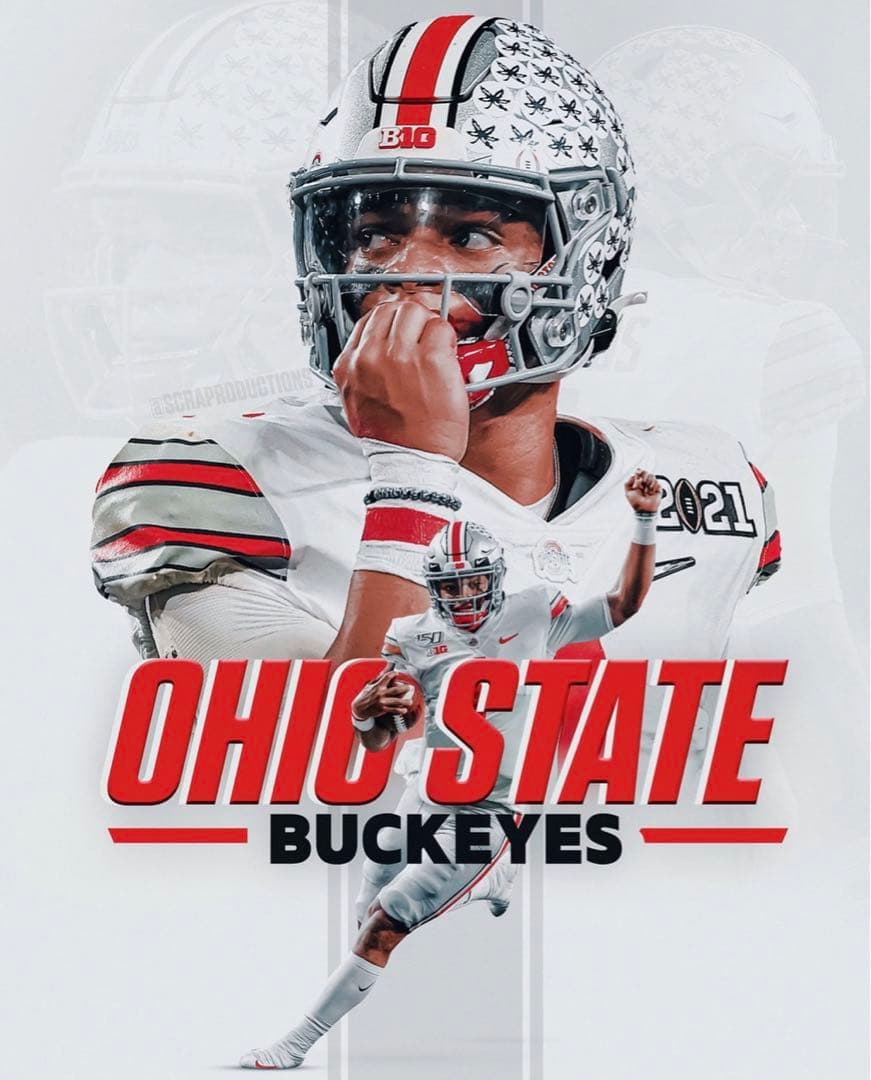 オハイオ州立大学×ナイキ　フリーススウェット　us:M jp:L