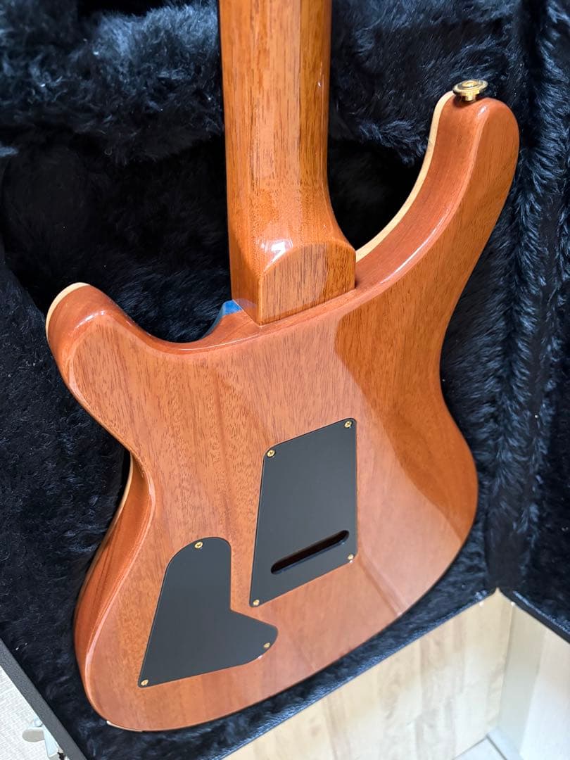 PRS Custom24 10Top 2018年式