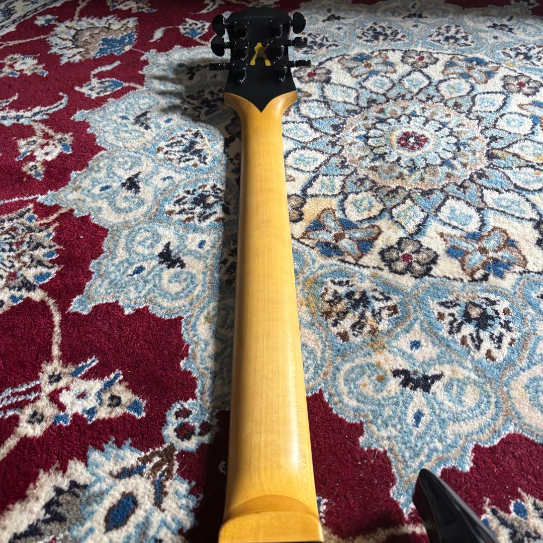 Epiphone Zv Zakk Wylde Custom Black HC付