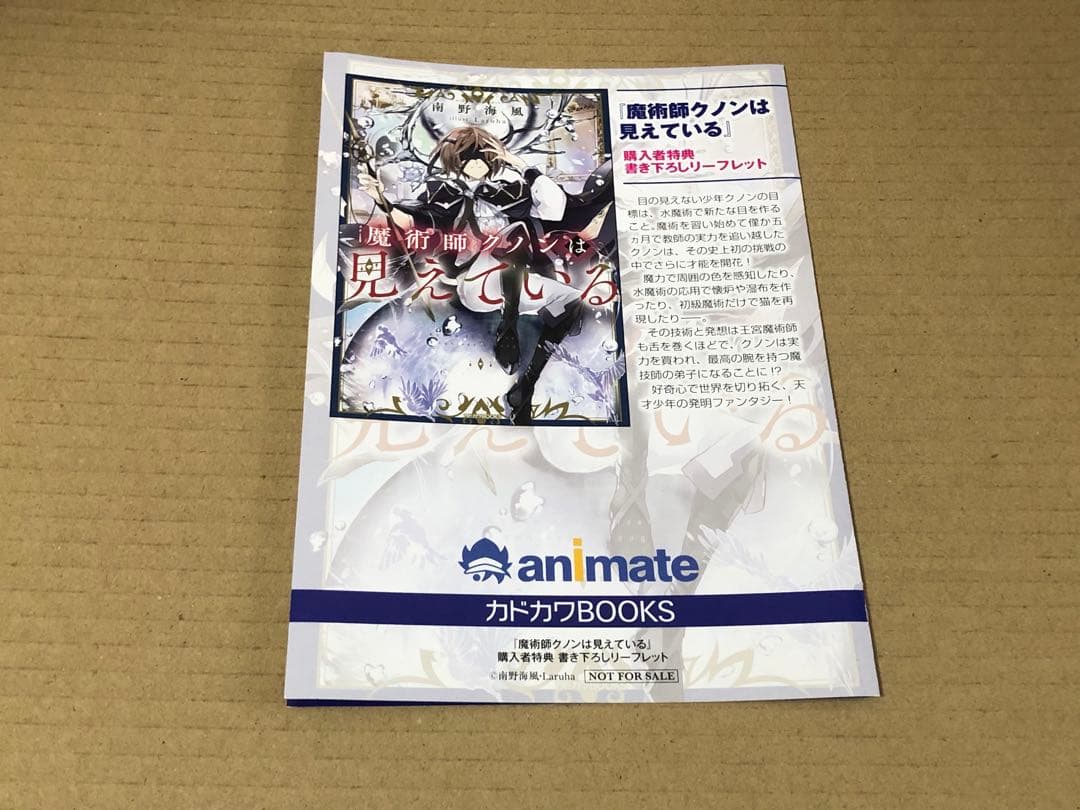 魔術師クノンは見えている　1巻　SS入りリーフレット　アニメイト