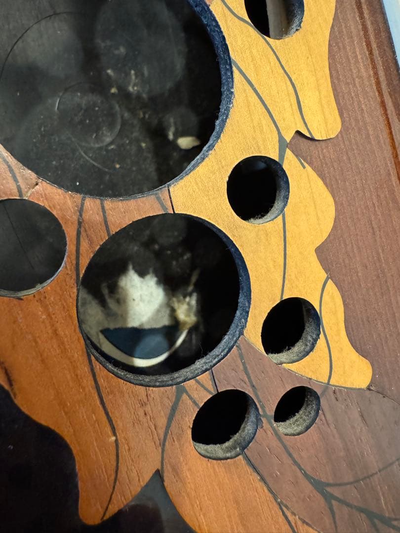 ギター GIORNO Ovation