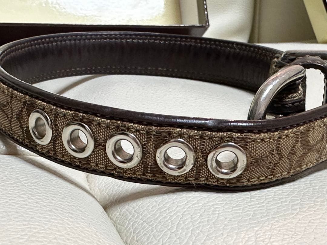 coach 犬首輪、リードセット