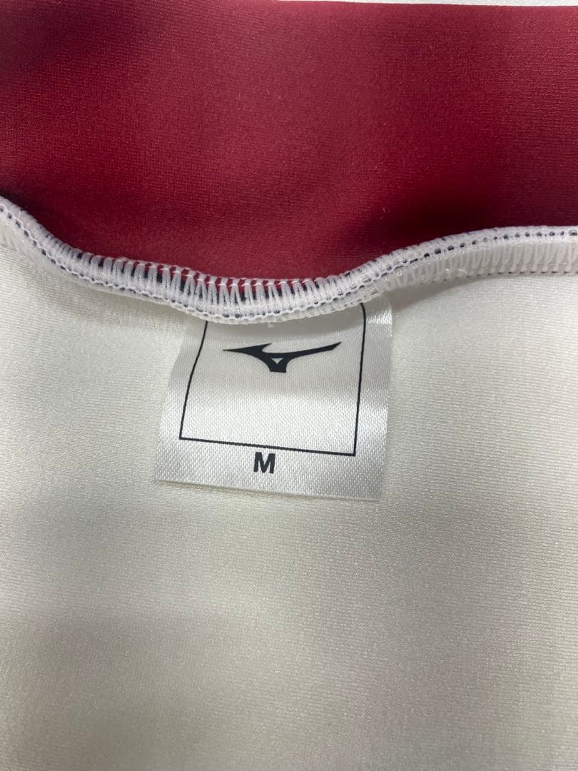 MIZUNO ミズノ　アルペンスキーレーシングスーツ　ロゴ　競技スキー　パット