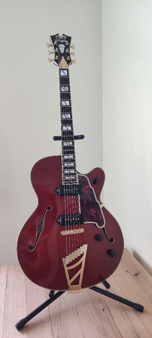 保証書付きD’Angelico Excel Series Excel 59