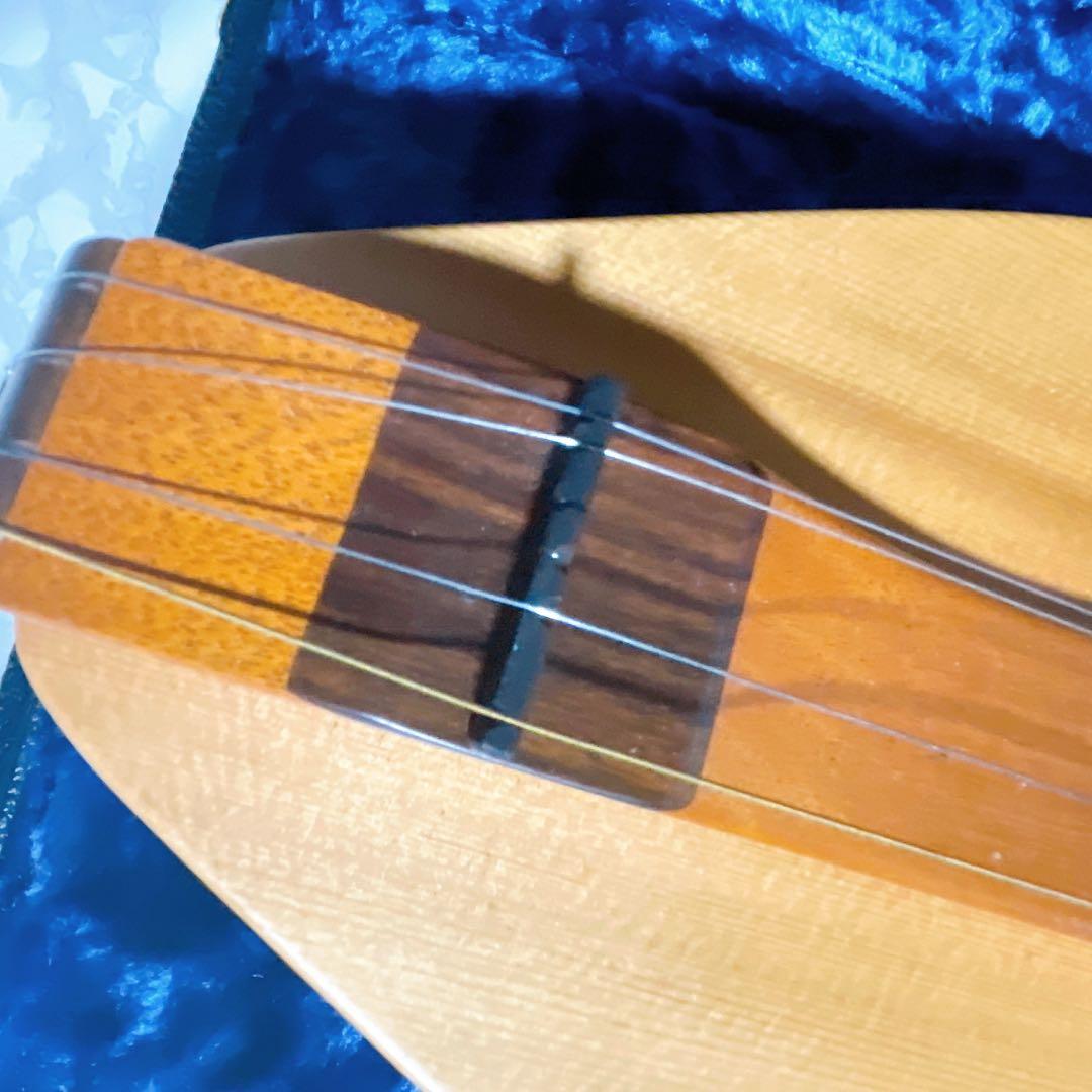 【美品】BLUE LION マウンテンダルシマー　JRW ハードケース付き