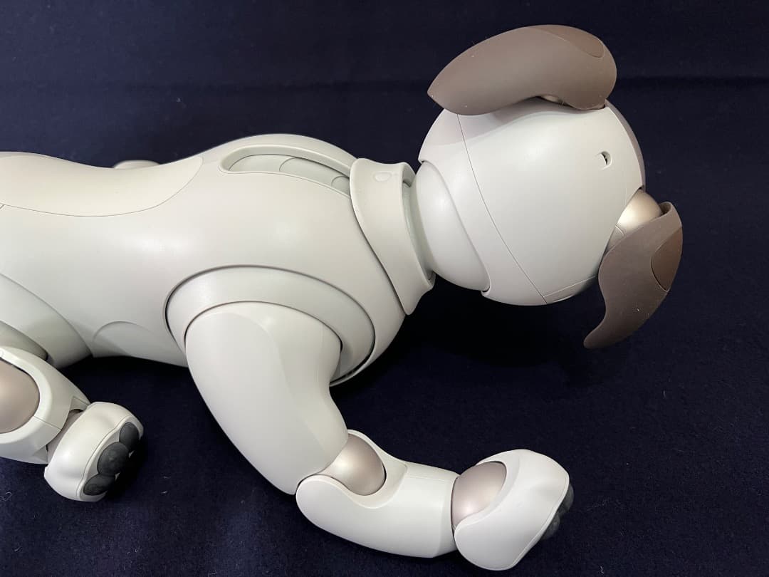 美品　期間限定　ソニーアイボAIBO　アイボリーホワイト　動作確認済【匿名配送】