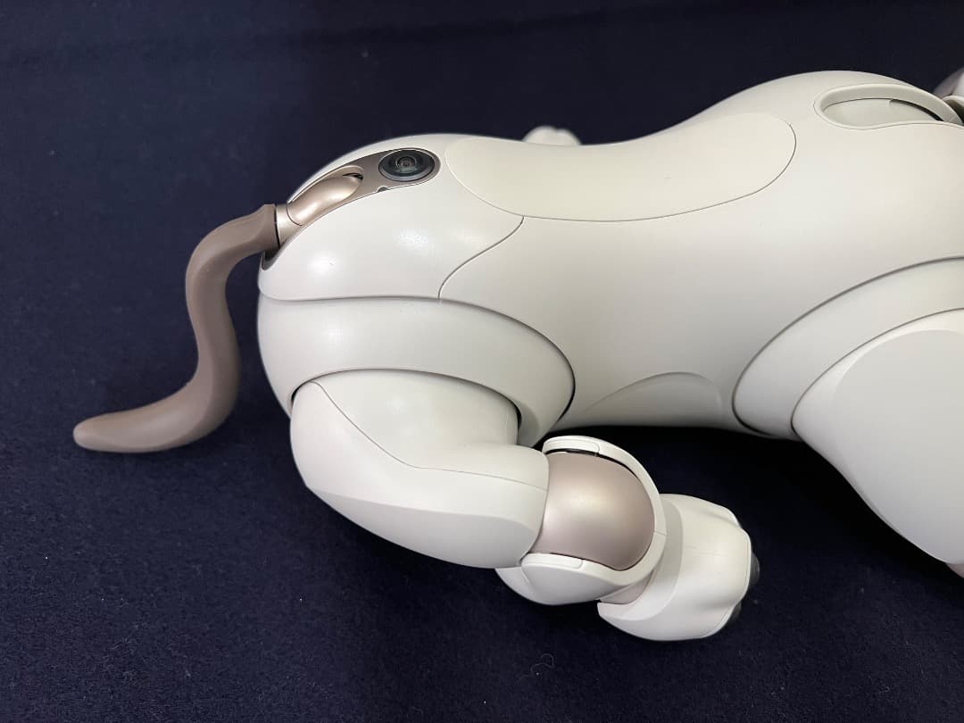 美品　期間限定　ソニーアイボAIBO　アイボリーホワイト　動作確認済【匿名配送】