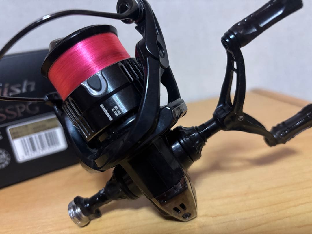 19ヴァンキッシュ1000SSSPG