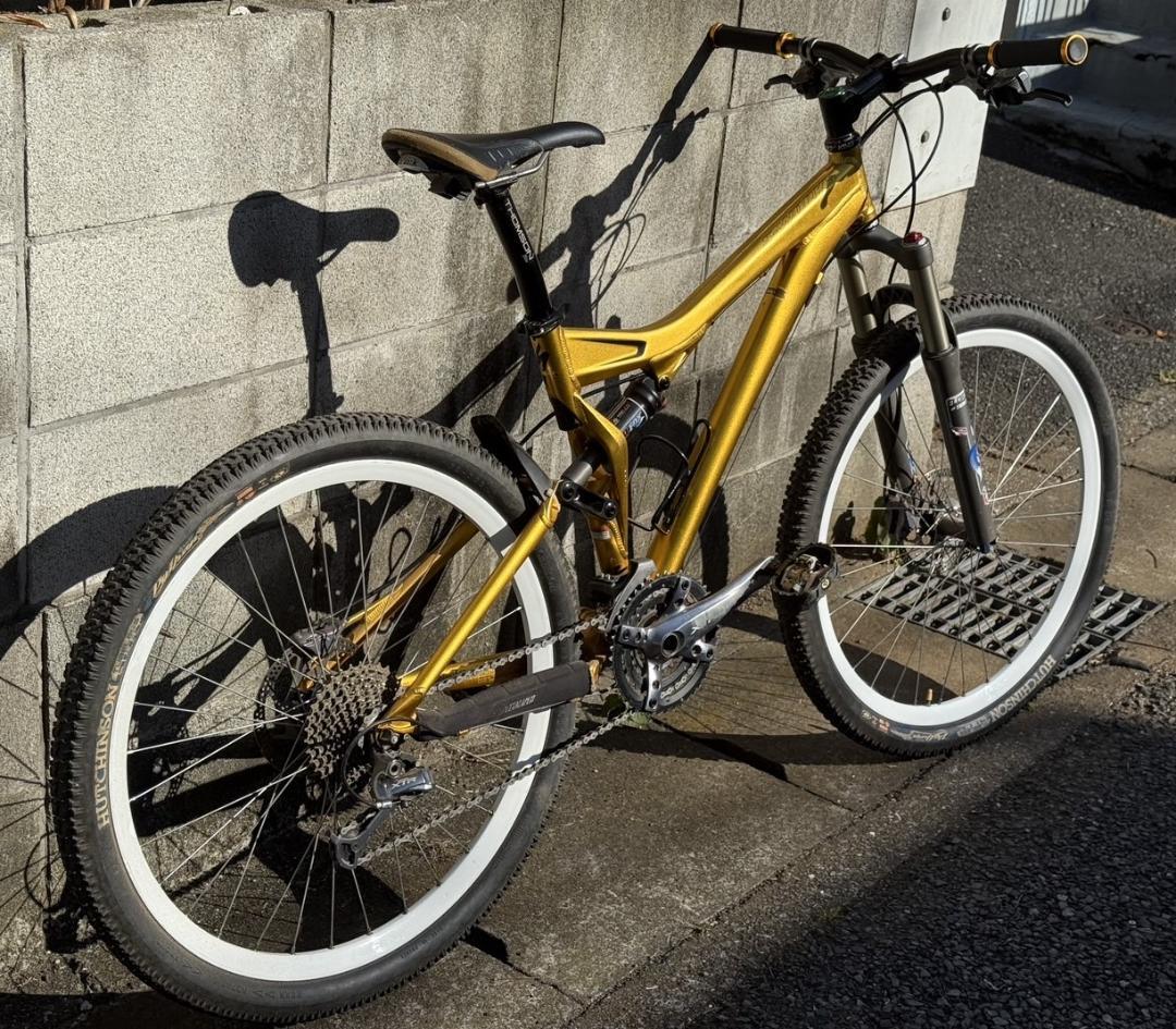 SPECIALIZED S-WORKS + フルXTR里山仕様