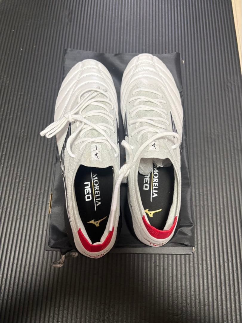 モレリアネオ4ベータ