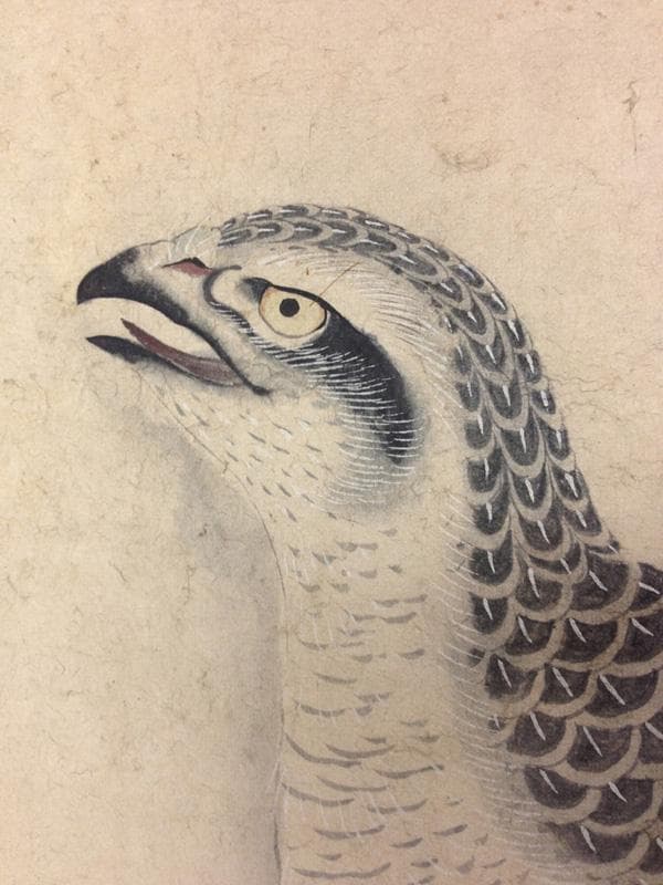 ★古美術！　小野雲鵬 松鷹図