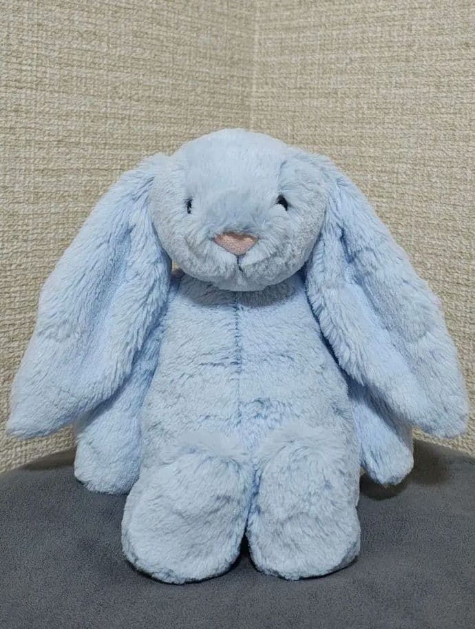 2025新作新品　bashful　blue　bunny うさぎ