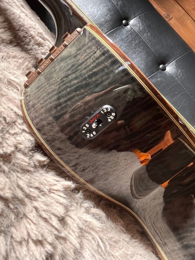 TAKAMINE PT-118 1987年製