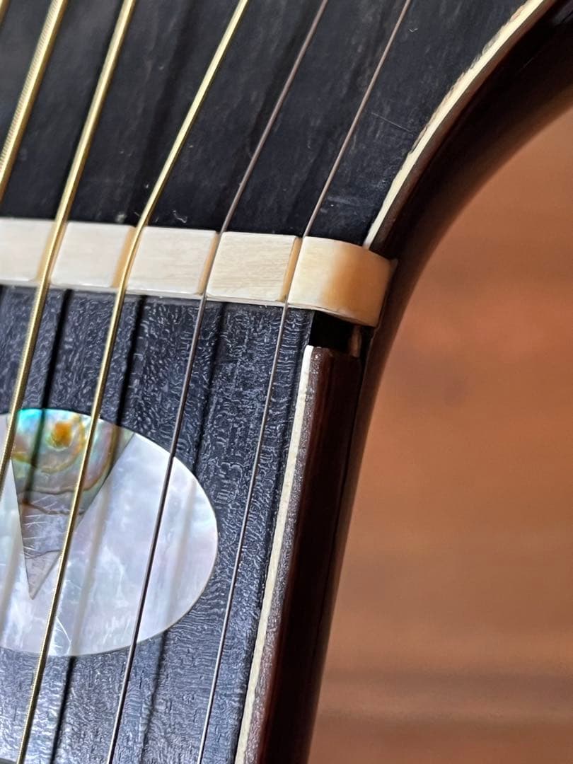 TAKAMINE PT-118 1987年製