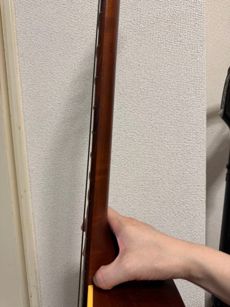 Art & Lutherie cedar アコースティックギター ハードケース付