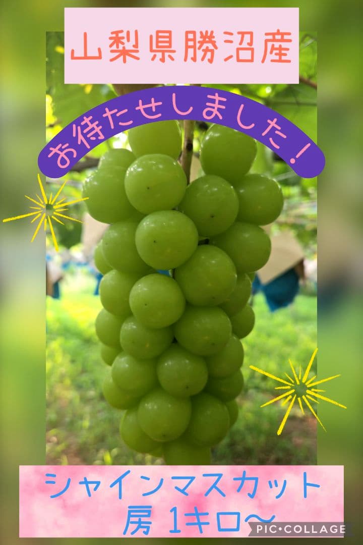 きょんさん専用