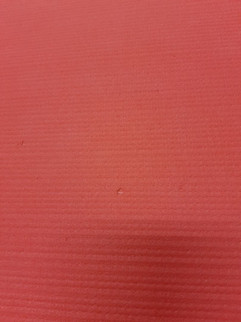 Manduka マンドゥカ PRO lite ヨガマット レッド