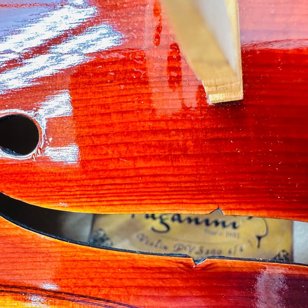 Paganini パガニーニ　ヴァイオリン　PVS200 4/4