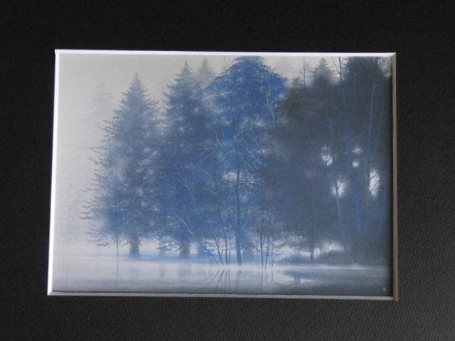 千住博、【水の森】、希少な額装用画集より、新品額装付、状態良好