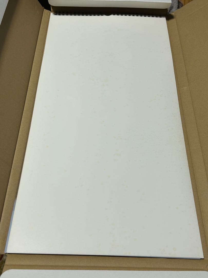 家庭教師ヒットマンREBORN！ カレンダー ポスター ボンゴレリング