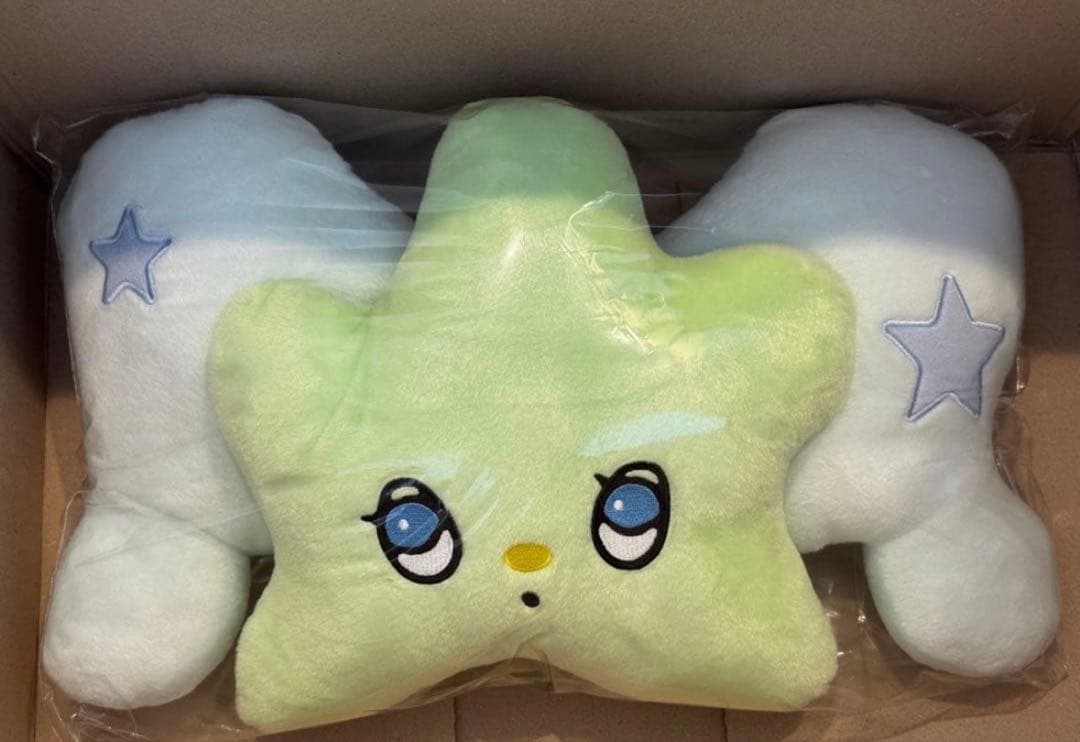 匿名配送 NCT WISH リク ウィチュ クッション WICHU ②