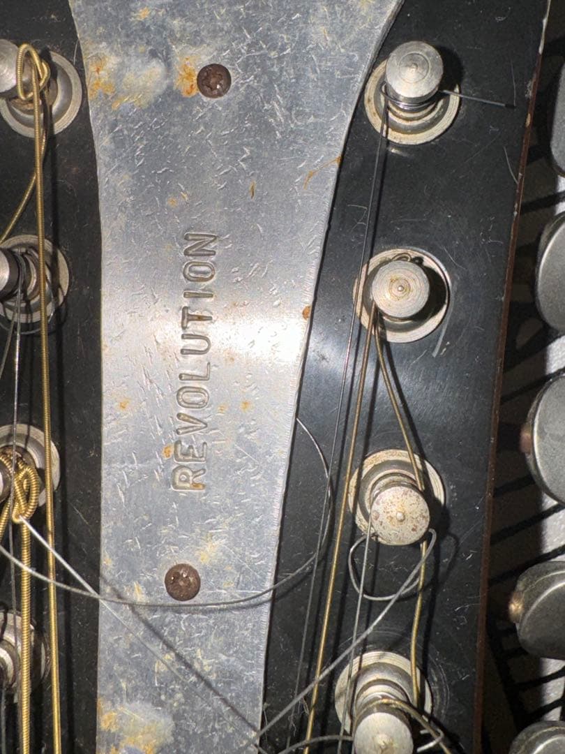 カスタマイズ アコースティックギター Eko Ranger XII