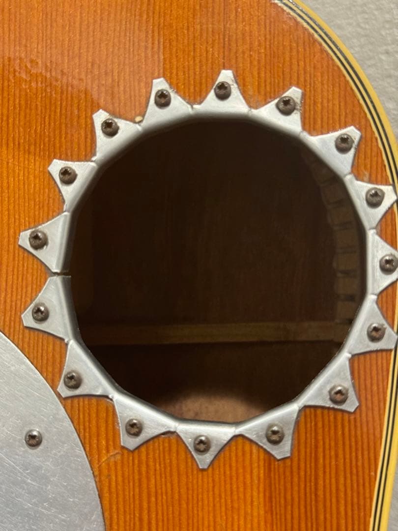 カスタマイズ アコースティックギター Eko Ranger XII