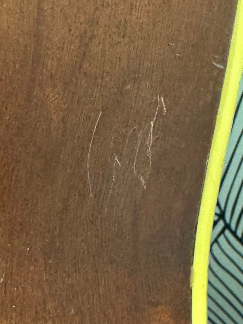 カスタマイズ アコースティックギター Eko Ranger XII