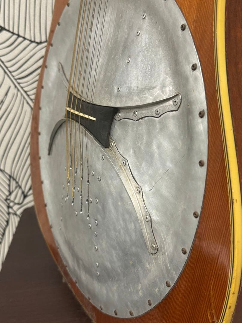 カスタマイズ アコースティックギター Eko Ranger XII