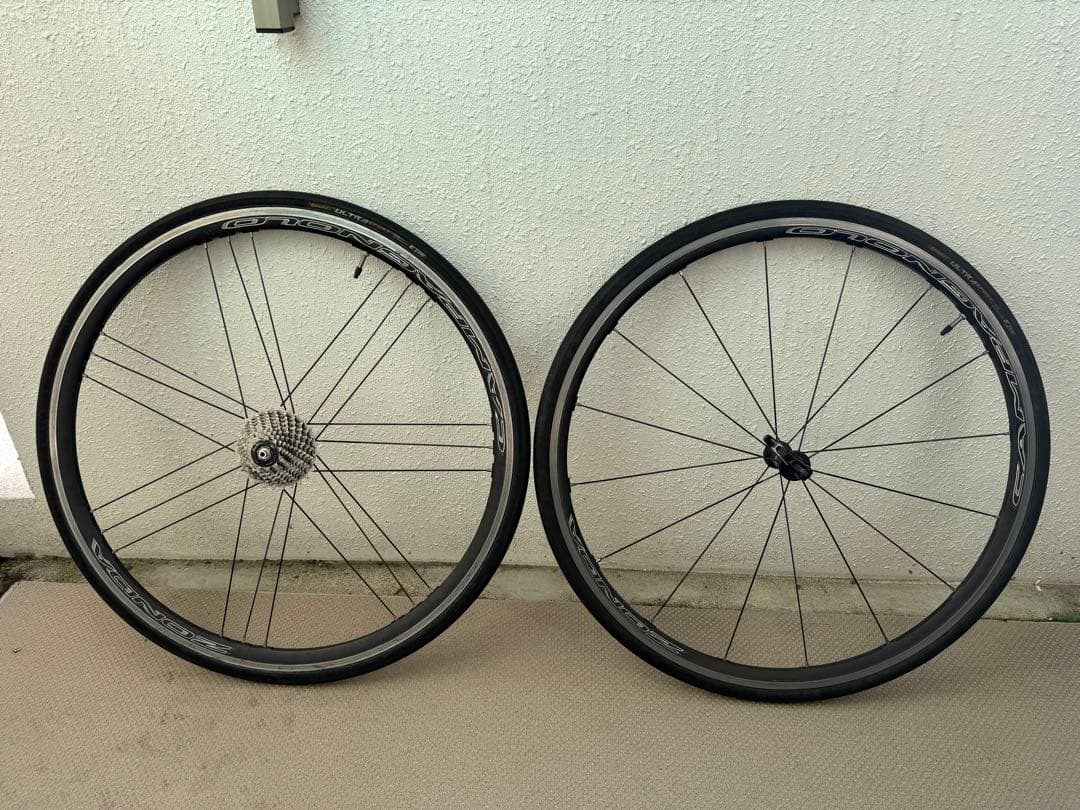 ゾンダ　ZONDA C17 カンパニョーロ　シマノフリー