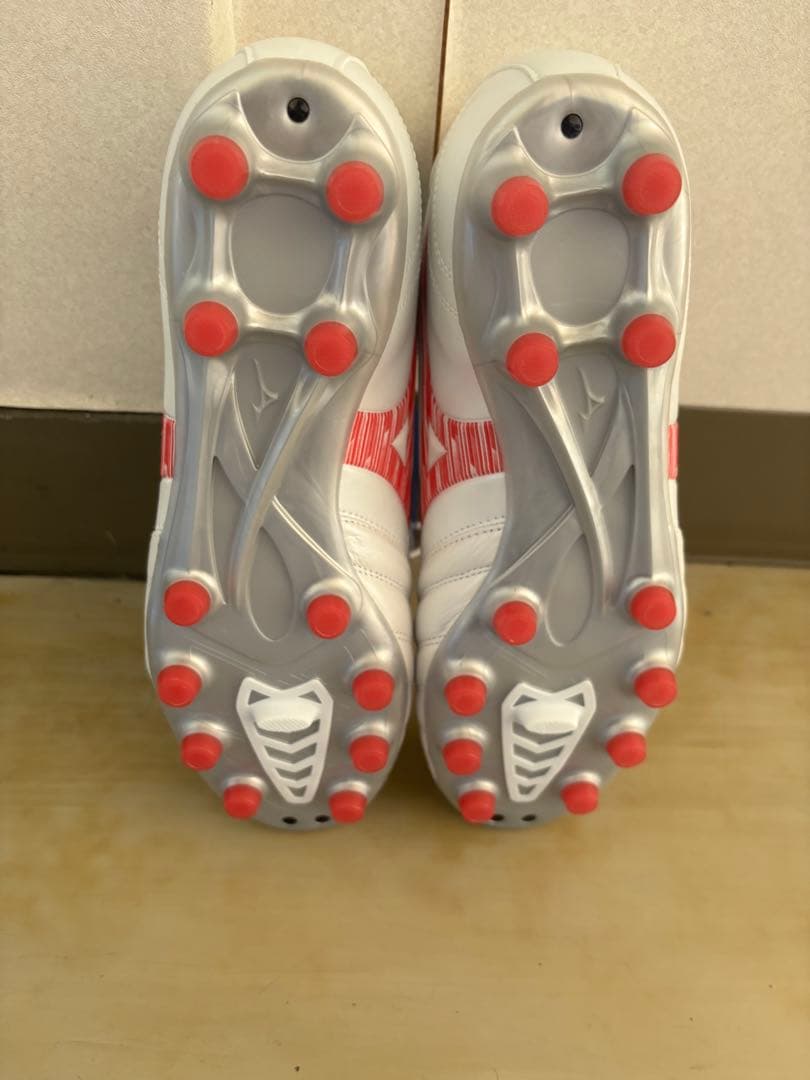 モナルシーダNEO