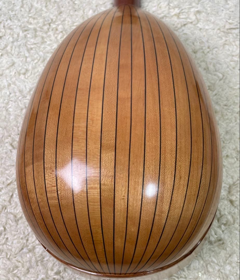 Suzuki M-210 Mandolin スズキ マンドリン　ハードケース付き