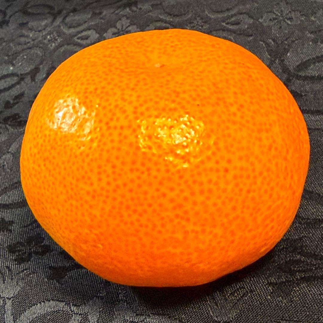 741)数量限定　甘すぎる　有田みかん　果物 　みかん　小玉　旬