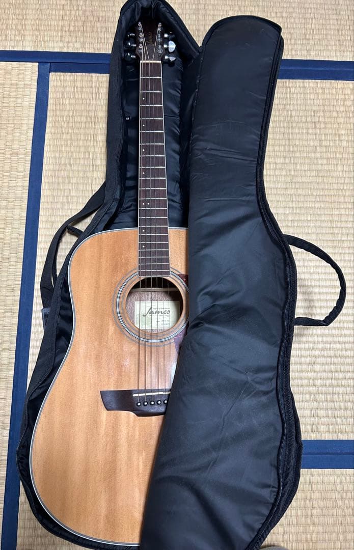 James J-300D NAT アコースティックギター ギグバッグ付き