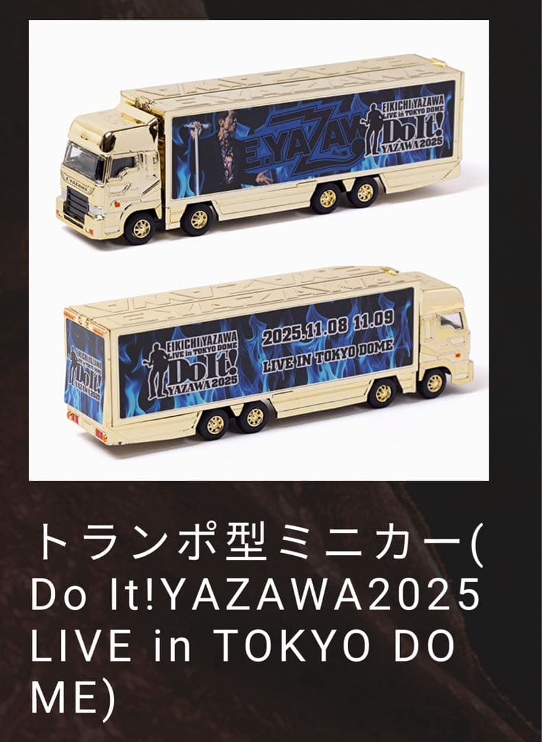 【東京ドーム限定DXトランポ…】 DoIt! YAZAWA2025 刻印入り