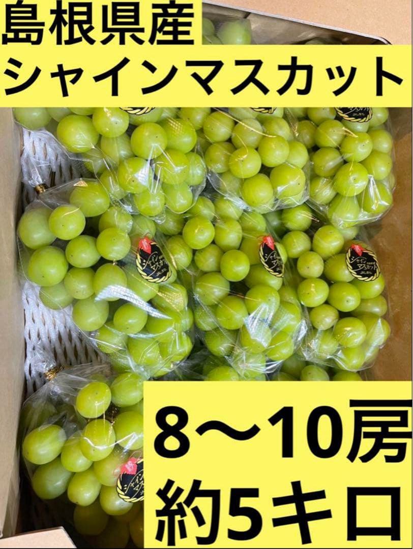 ⑨【島根県産】シャインマスカット約5キロ
