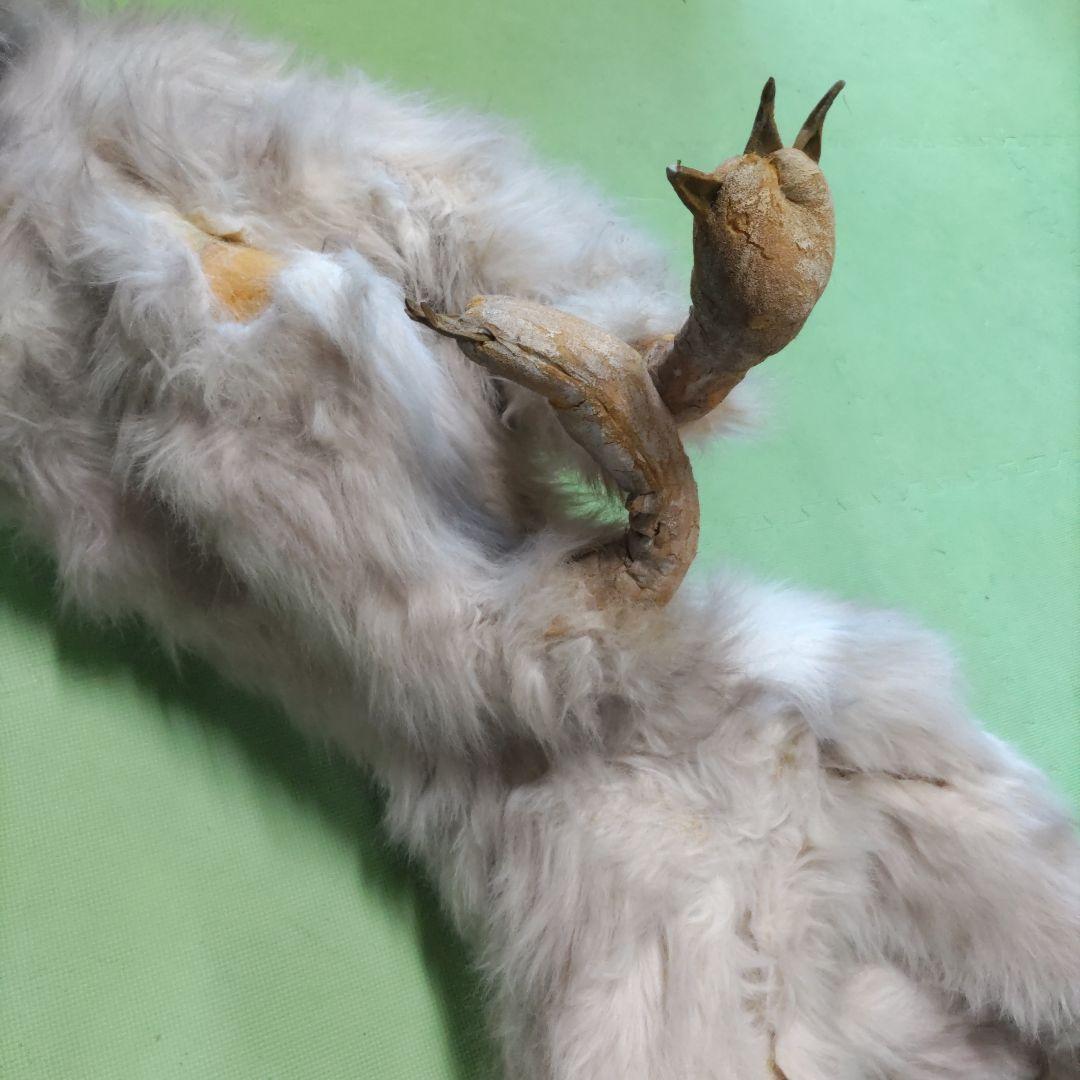 【激レア】劇団★新感線の小道具　オオカミ（LOST SEVEN　1999年公演）