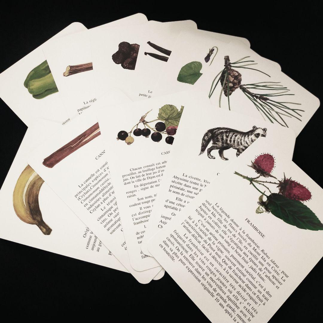 未使用　ルネデュヴァン　LE NEZ DU VIN 赤ワイン 12種フランス語版