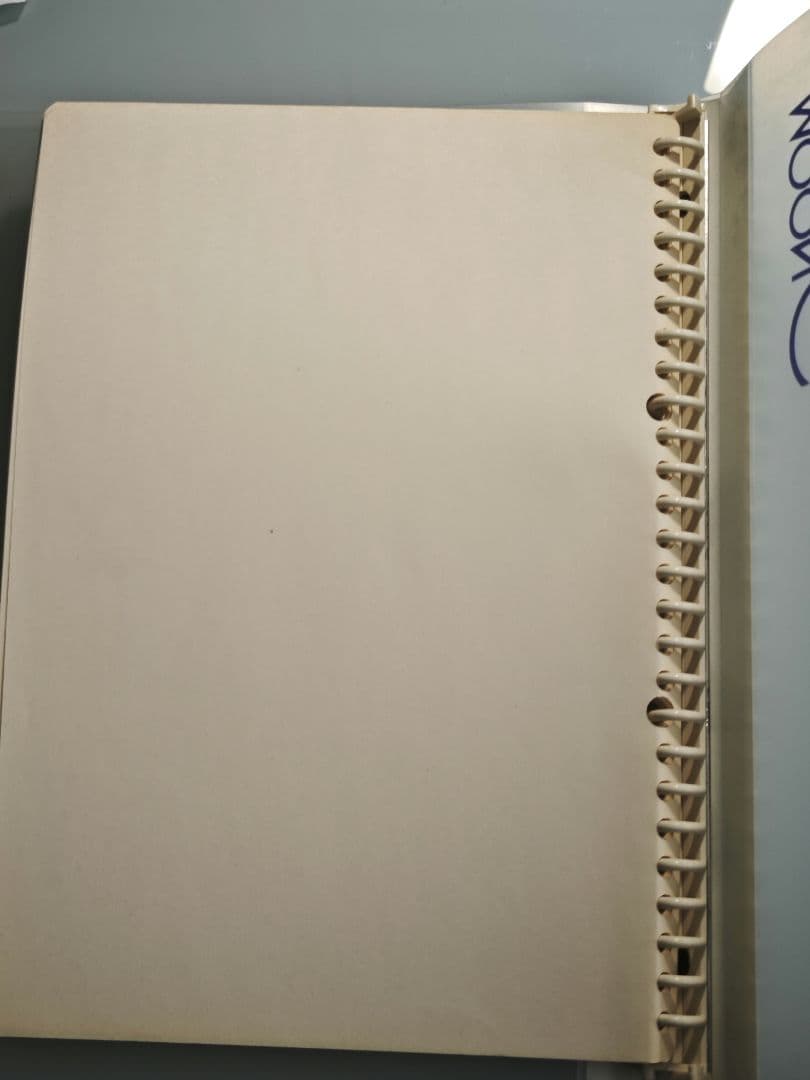 清水玲子　MOON CHILD ノート 　豪華オマケ付き