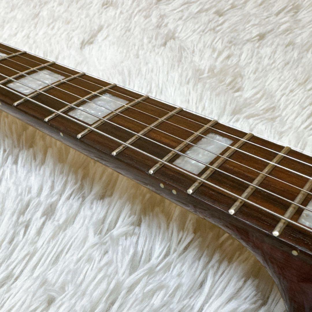 Playtech/プレイテック LP-500 Premium ホロウボディP90