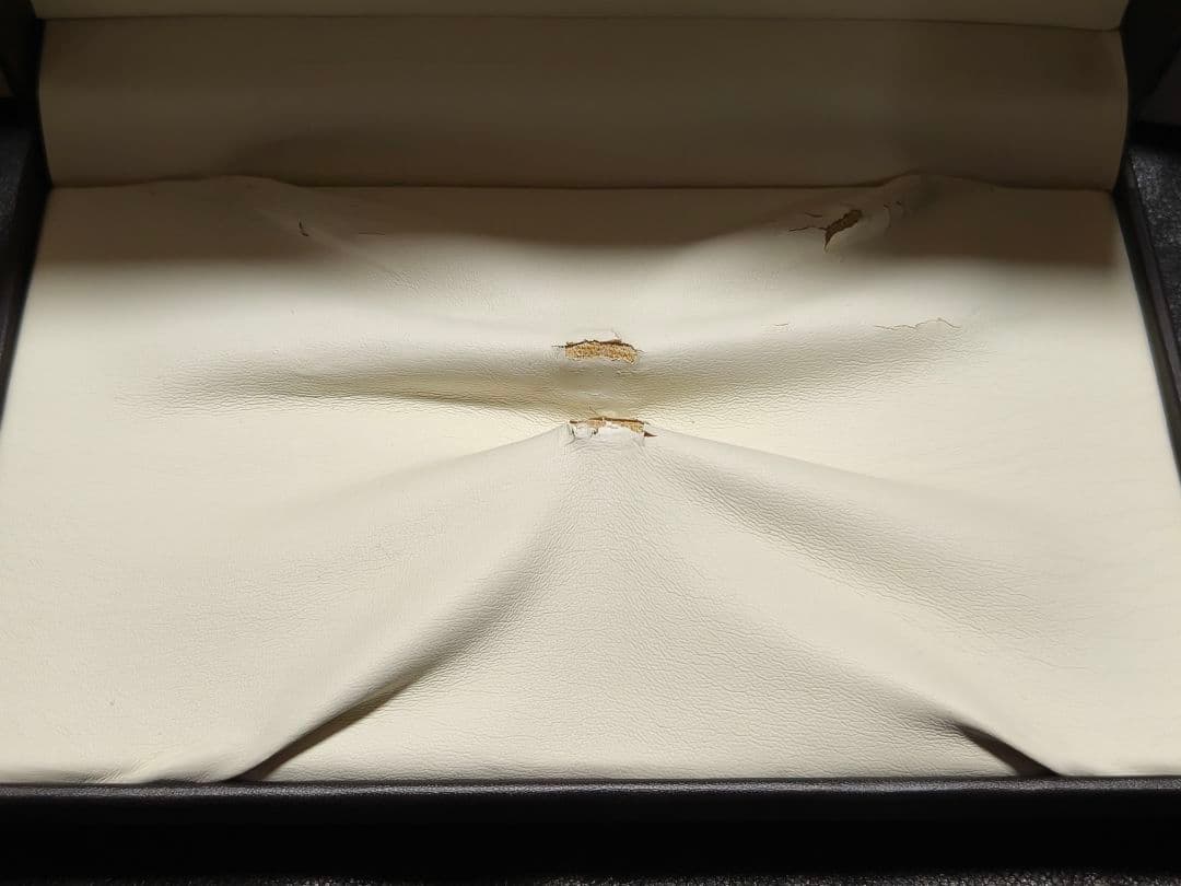 Visconti HomoSapiens マリーンスティール オーバーサイズ