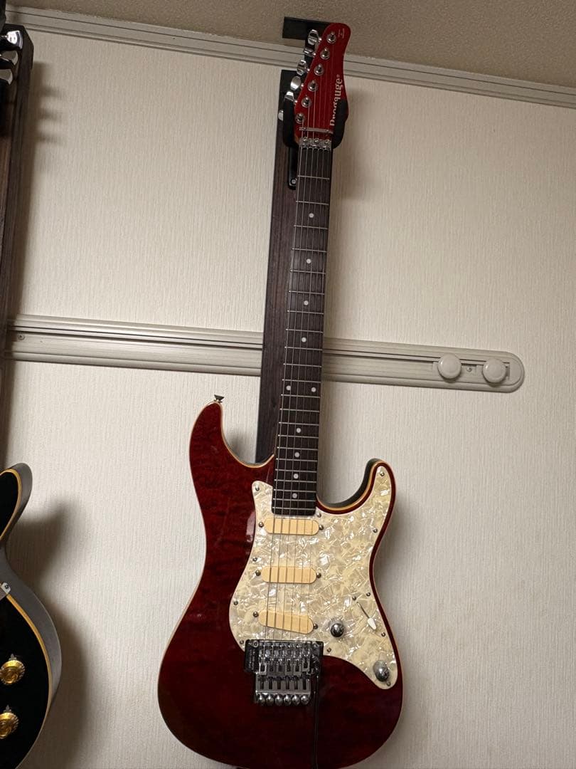 PROGAUGE SCHECTER　エレキギター　EMG　SA搭載