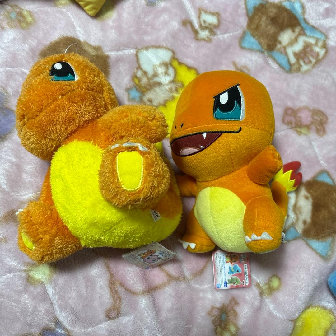 ポケモン ぬいぐるみセット 大きめ