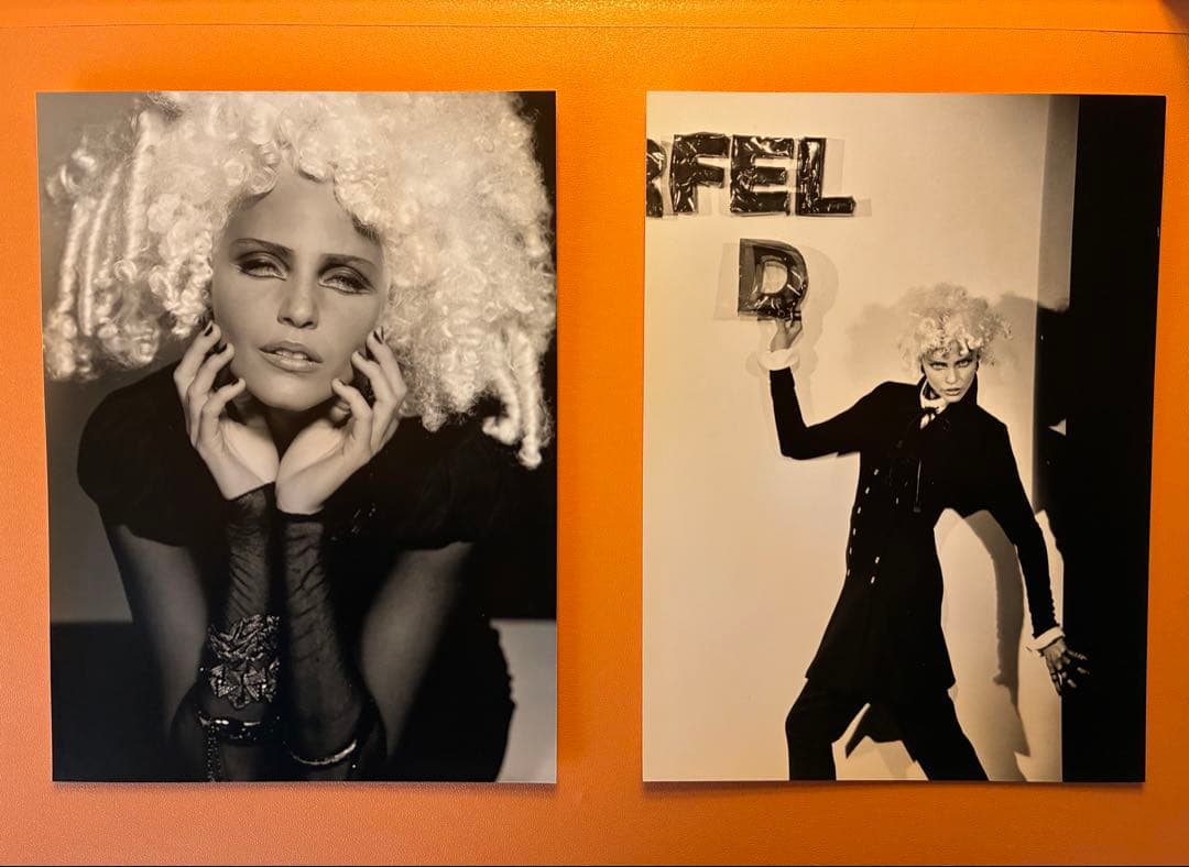 【超希少・完品】カール・ラガーフェルド 94/95AW プレス限定資料 非売品