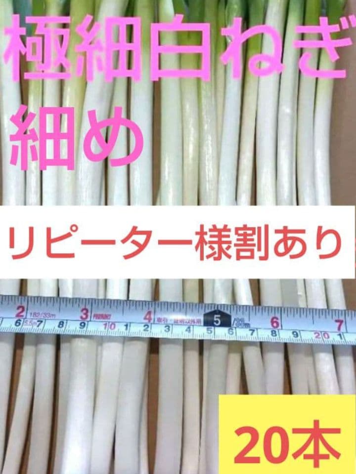 11日〜12日発送！愛媛県産　極細細め白ネギ　長ねぎ　ねぎ　野菜