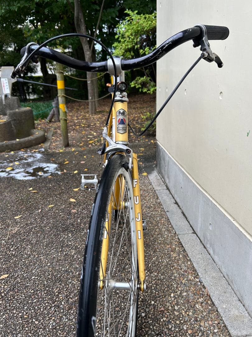 Fuji feather マスタードイエロー